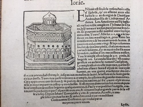 Ephèse amazones 1575 - amazones, amazons